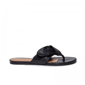 Bernardo Harmony Thong Schuifsandalen Dames Zwart | FWA222GR