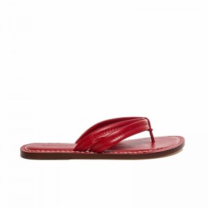 Bernardo Miami Thong Schuifsandalen Dames Rood | FBP4090UZ