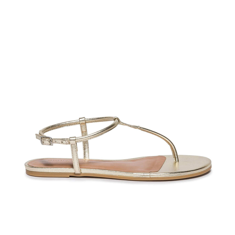 Bernardo Haven Thong Platte Sandalen Dames Goud | HHZ794VS