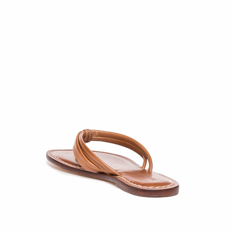 Bernardo Miami Thong Schuifsandalen Dames Bruin | RPY9383JL