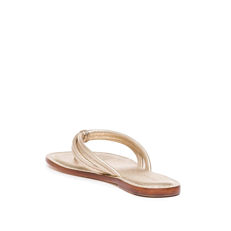 Bernardo Miami Thong Schuifsandalen Dames Goud | HYM1295KA